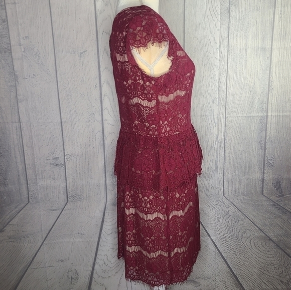 Anthropologie Maeve Elsa Peplum Lace Cocktail Dress Size Medium - Picture 3 of 10
